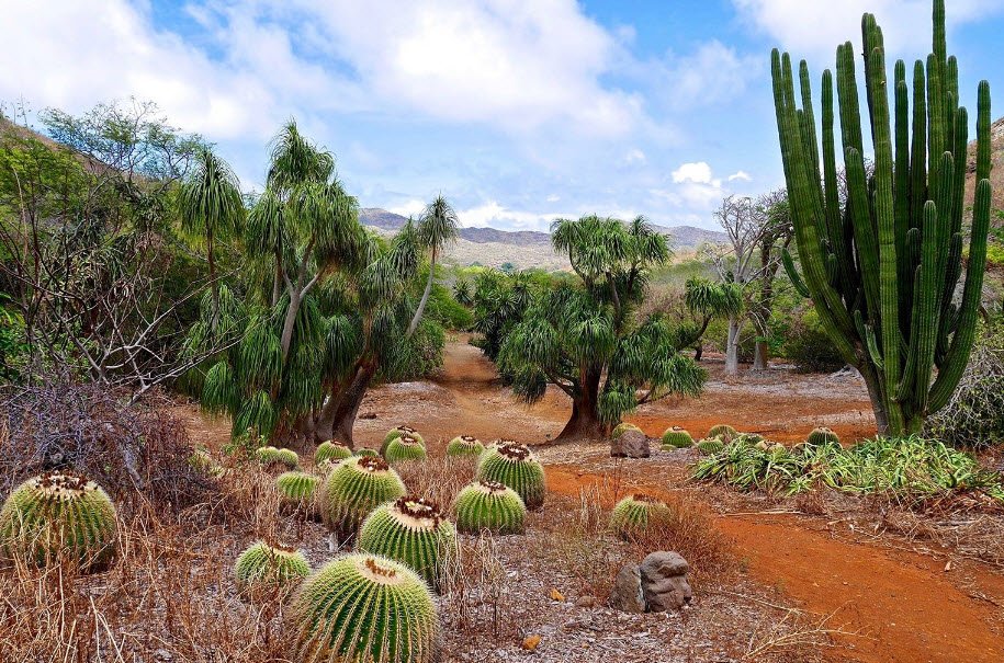 Koko Crater Botanical Garden, United States